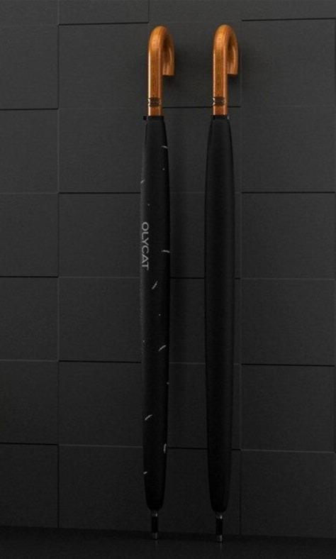 Executive windproof umbrella - lightbulbbusinessconsulting