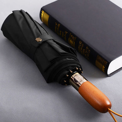 Luxury Automatic Umbrella Windproof - lightbulbbusinessconsulting