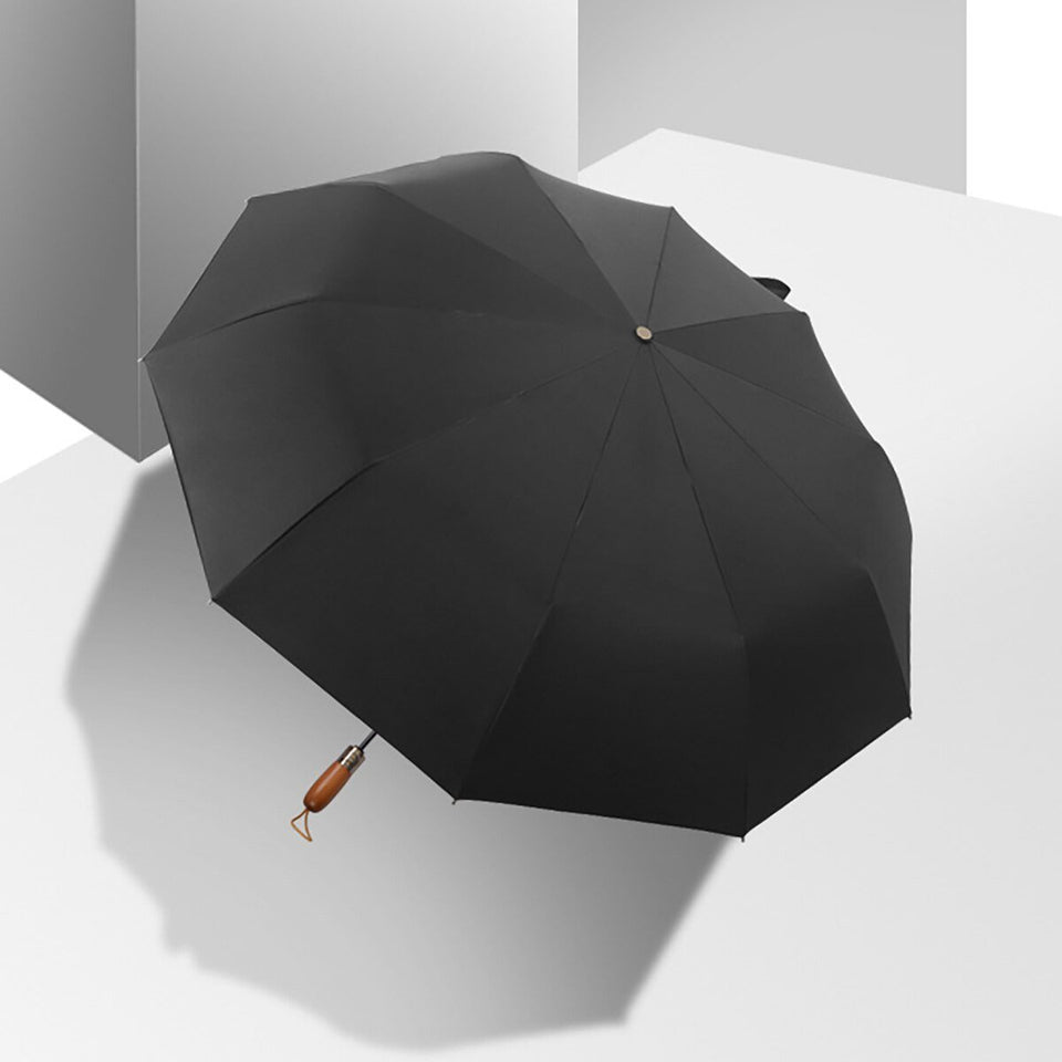 Luxury Automatic Umbrella Windproof - lightbulbbusinessconsulting