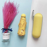 Small UV Protect Umbrella - lightbulbbusinessconsulting
