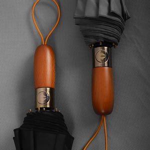 Luxury Automatic Umbrella Windproof - lightbulbbusinessconsulting
