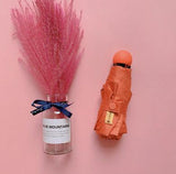 Small UV Protect Umbrella - lightbulbbusinessconsulting
