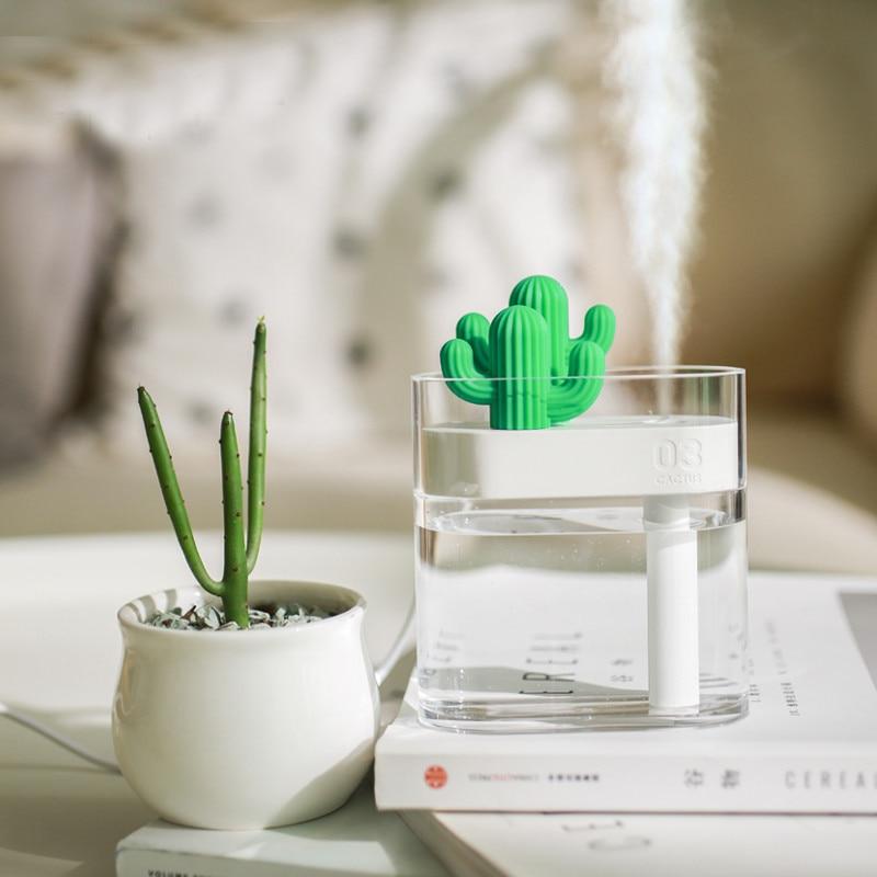 Clear Cactus Diffuser - lightbulbbusinessconsulting