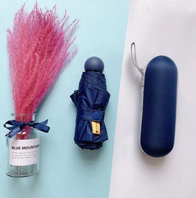 Small UV Protect Umbrella - lightbulbbusinessconsulting