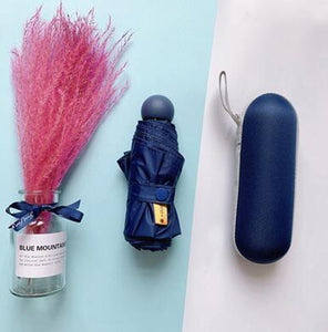 Small UV Protect Umbrella - lightbulbbusinessconsulting