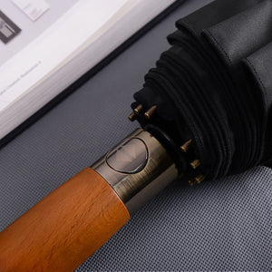 Luxury Automatic Umbrella Windproof - lightbulbbusinessconsulting