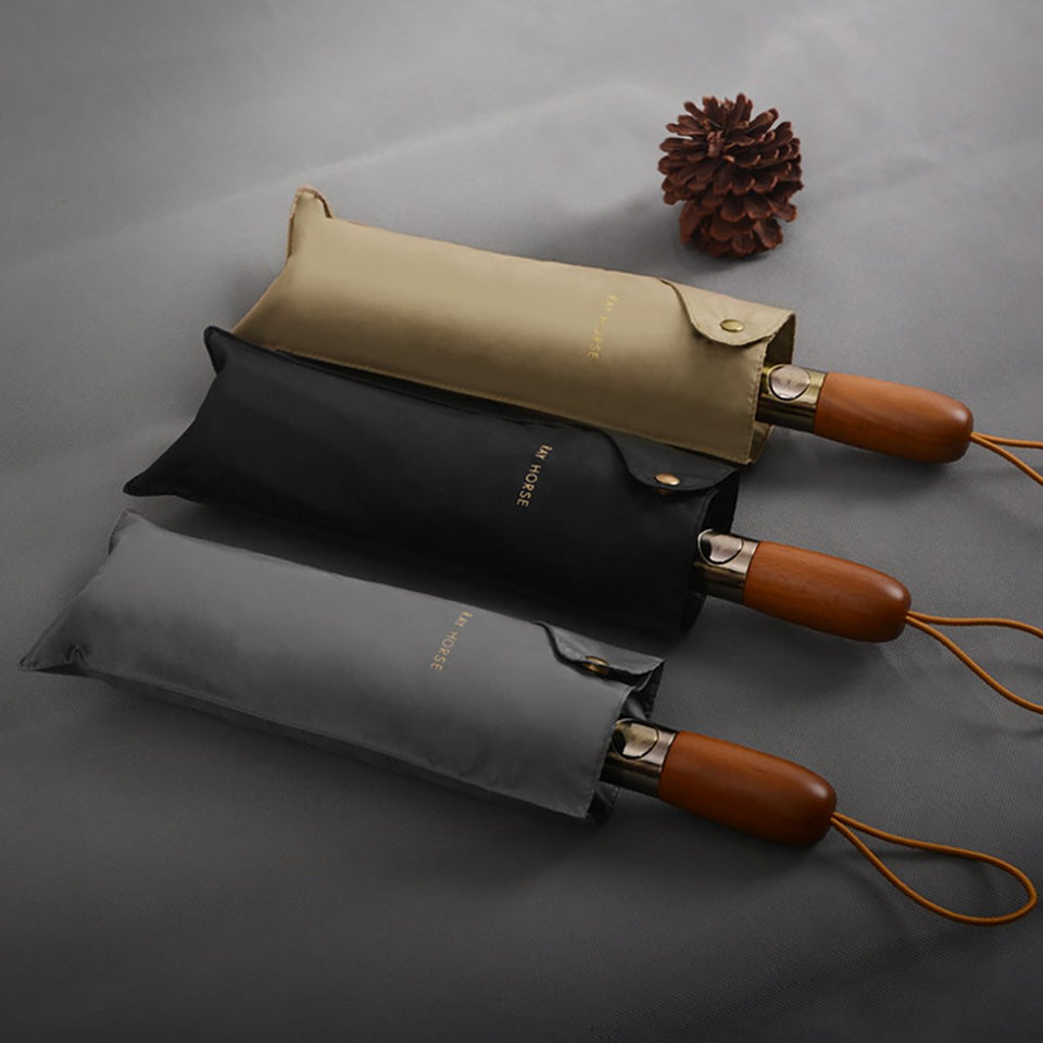 Luxury Automatic Umbrella Windproof - lightbulbbusinessconsulting