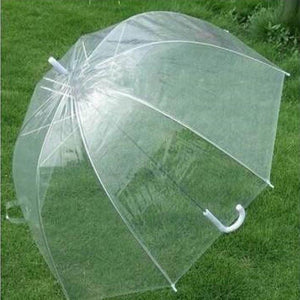 Fashion Dome Umbrella - lightbulbbusinessconsulting