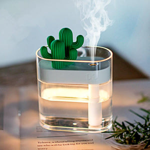 Clear Cactus Diffuser - lightbulbbusinessconsulting
