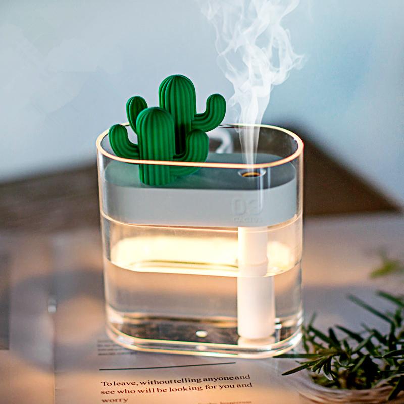 Clear Cactus Diffuser - lightbulbbusinessconsulting