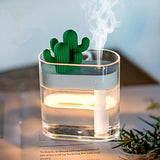 Clear Cactus Diffuser - lightbulbbusinessconsulting