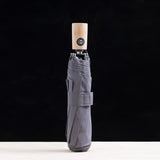 Maple Windproof Folding Umbrella - lightbulbbusinessconsulting