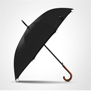 Executive windproof umbrella - lightbulbbusinessconsulting
