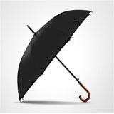 Executive windproof umbrella - lightbulbbusinessconsulting