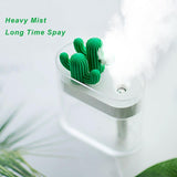 Clear Cactus Diffuser - lightbulbbusinessconsulting