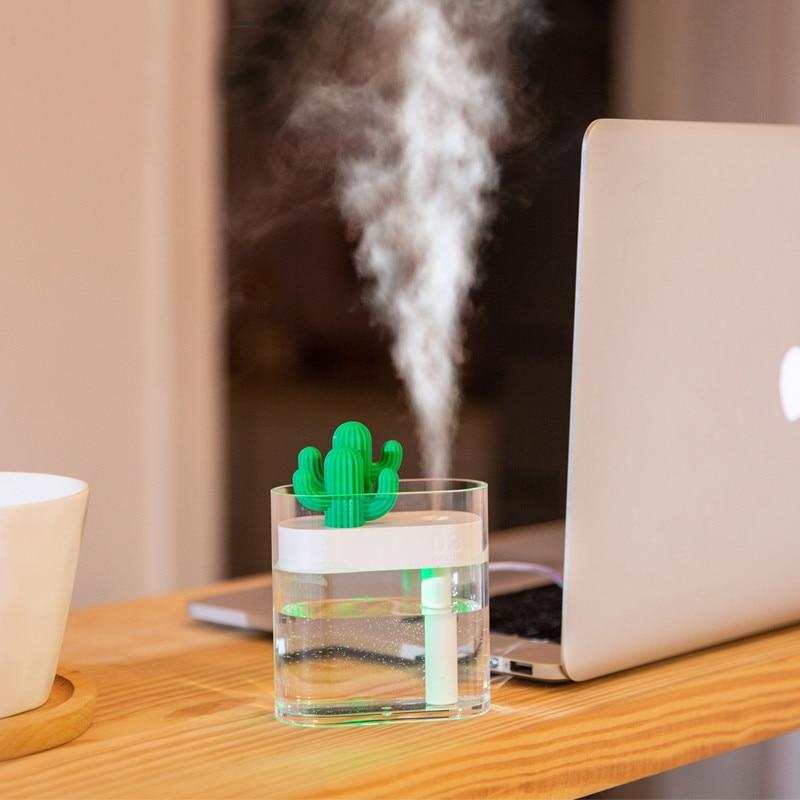 Clear Cactus Diffuser - lightbulbbusinessconsulting