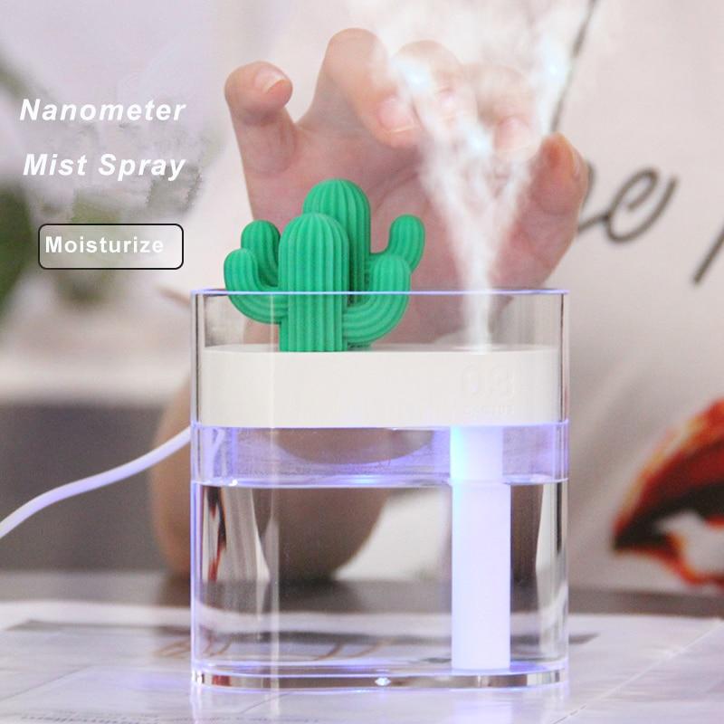 Clear Cactus Diffuser - lightbulbbusinessconsulting