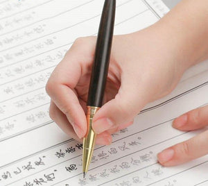 Executive Ballpoint  Business  Gift - lightbulbbusinessconsulting