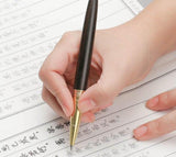 Executive Ballpoint  Business  Gift - lightbulbbusinessconsulting