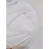 KN95 Face Mask - lightbulbbusinessconsulting