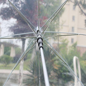Fashion Dome Umbrella - lightbulbbusinessconsulting