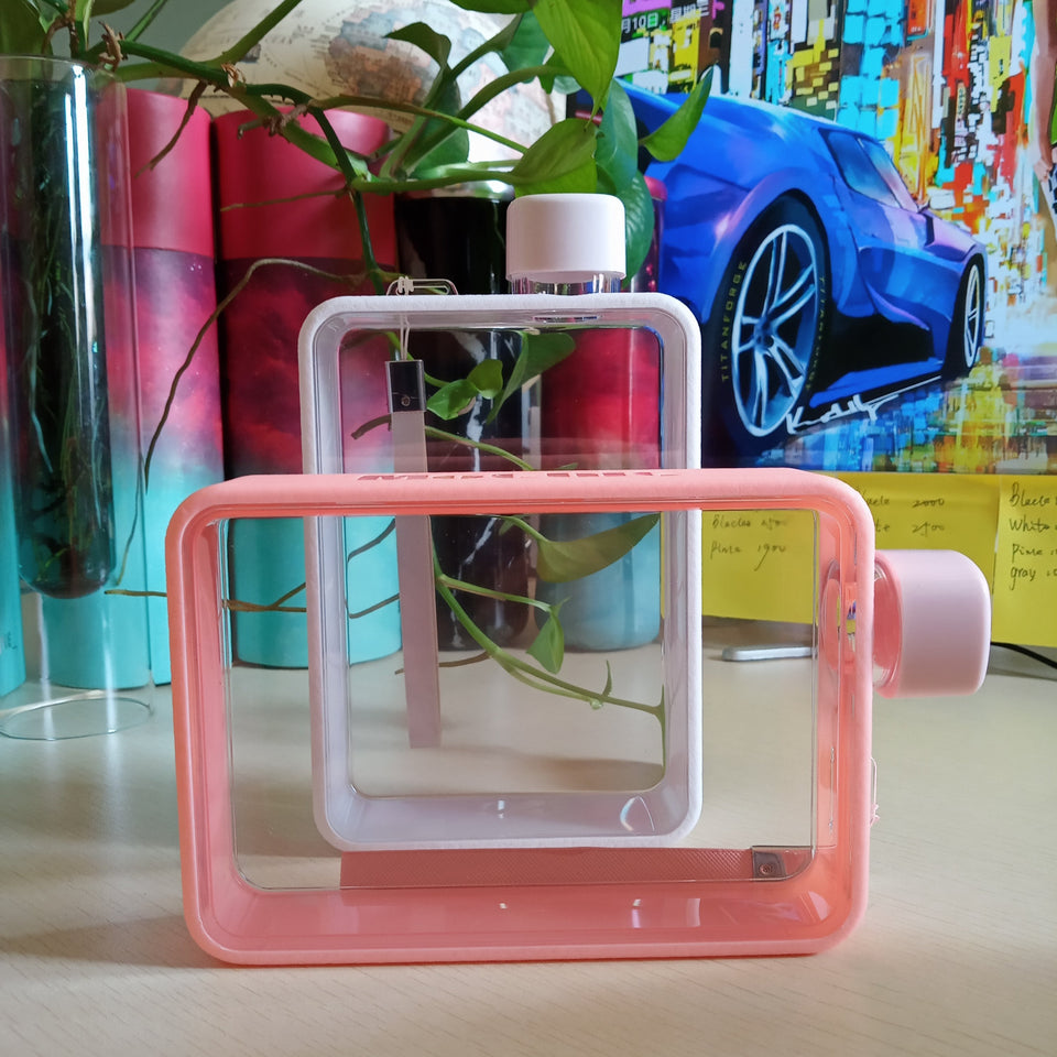 Flat Water Bottle - lightbulbbusinessconsulting