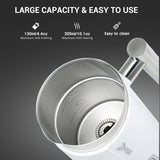 Stainless Steel Milk Frother - lightbulbbusinessconsulting