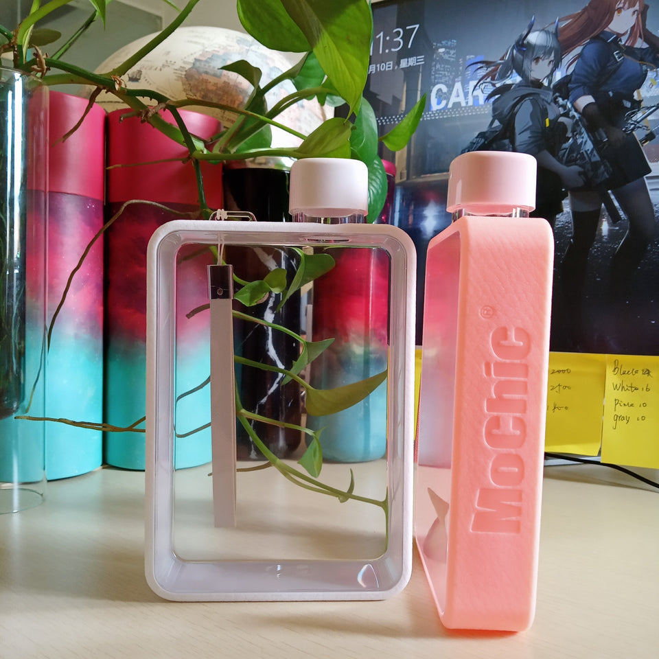 Flat Water Bottle - lightbulbbusinessconsulting