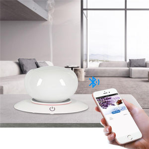 Bluetooth Speaker Oil Diffuser - lightbulbbusinessconsulting