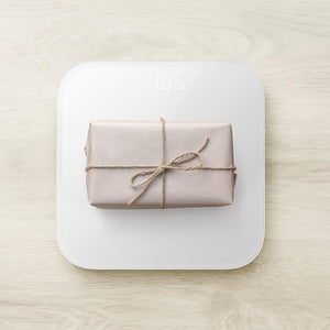 Digital LED Scale - lightbulbbusinessconsulting