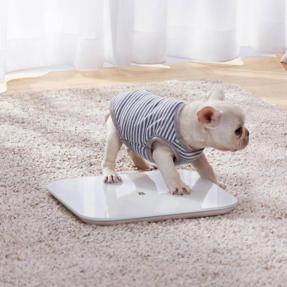 Digital LED Scale - lightbulbbusinessconsulting