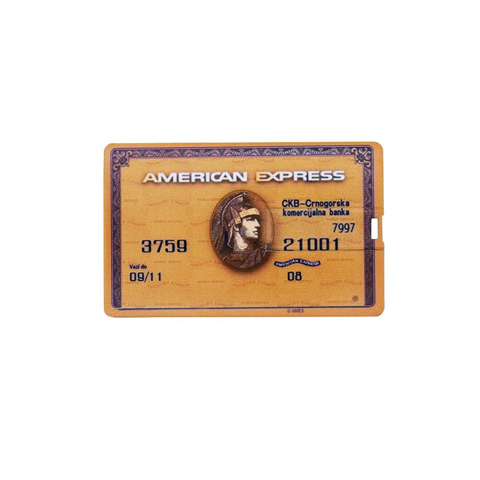 Custom Logo Flsh Drive Bank Card - lightbulbbusinessconsulting