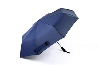 Smart Classic Umbrella - lightbulbbusinessconsulting