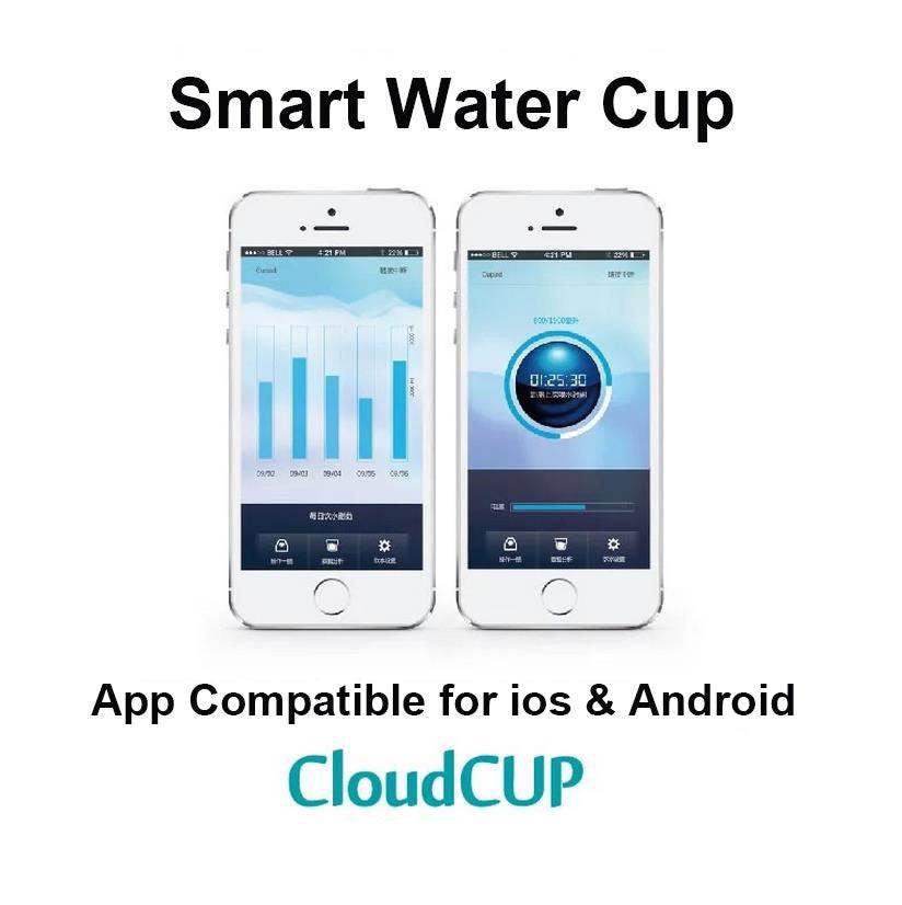 Executive Cloud Smart Cup - lightbulbbusinessconsulting