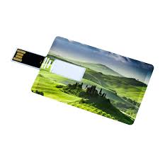 Card Type USB Flash Drive - lightbulbbusinessconsulting